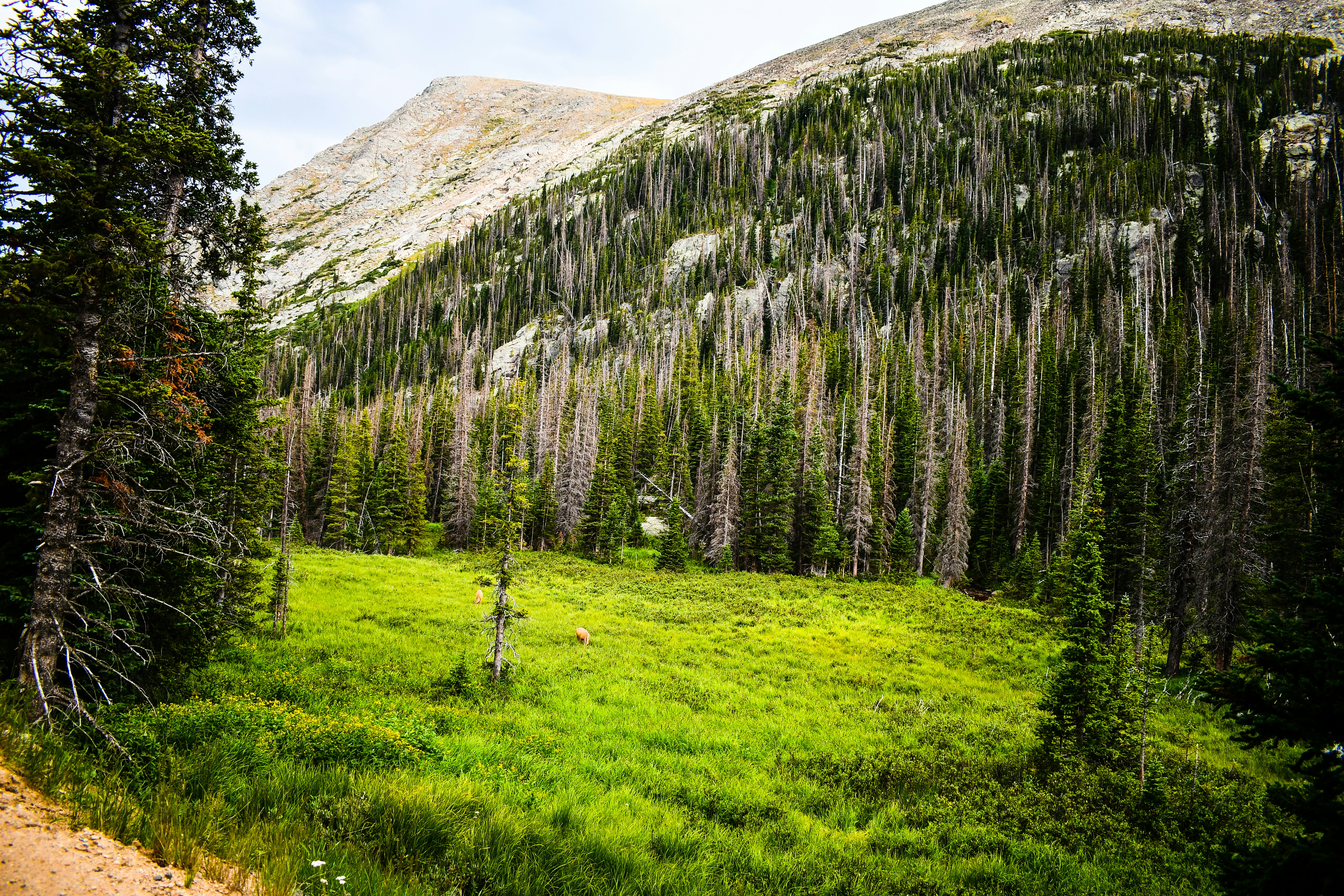 Photo by jackcharles