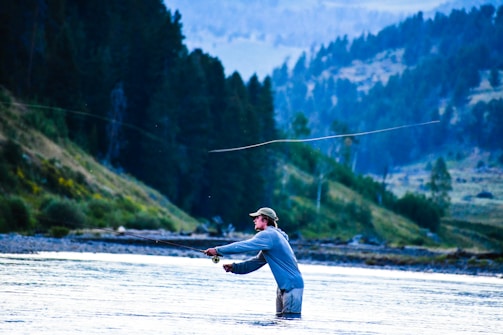 A person stands waist-deep in a river, casting a fishing line against a scenic backdrop of rolling hills and dense forest. The individual wears a hat and long-sleeved shirt, concentrating on the art of fly fishing. The early morning or late afternoon light casts a calm and serene atmosphere over the landscape.