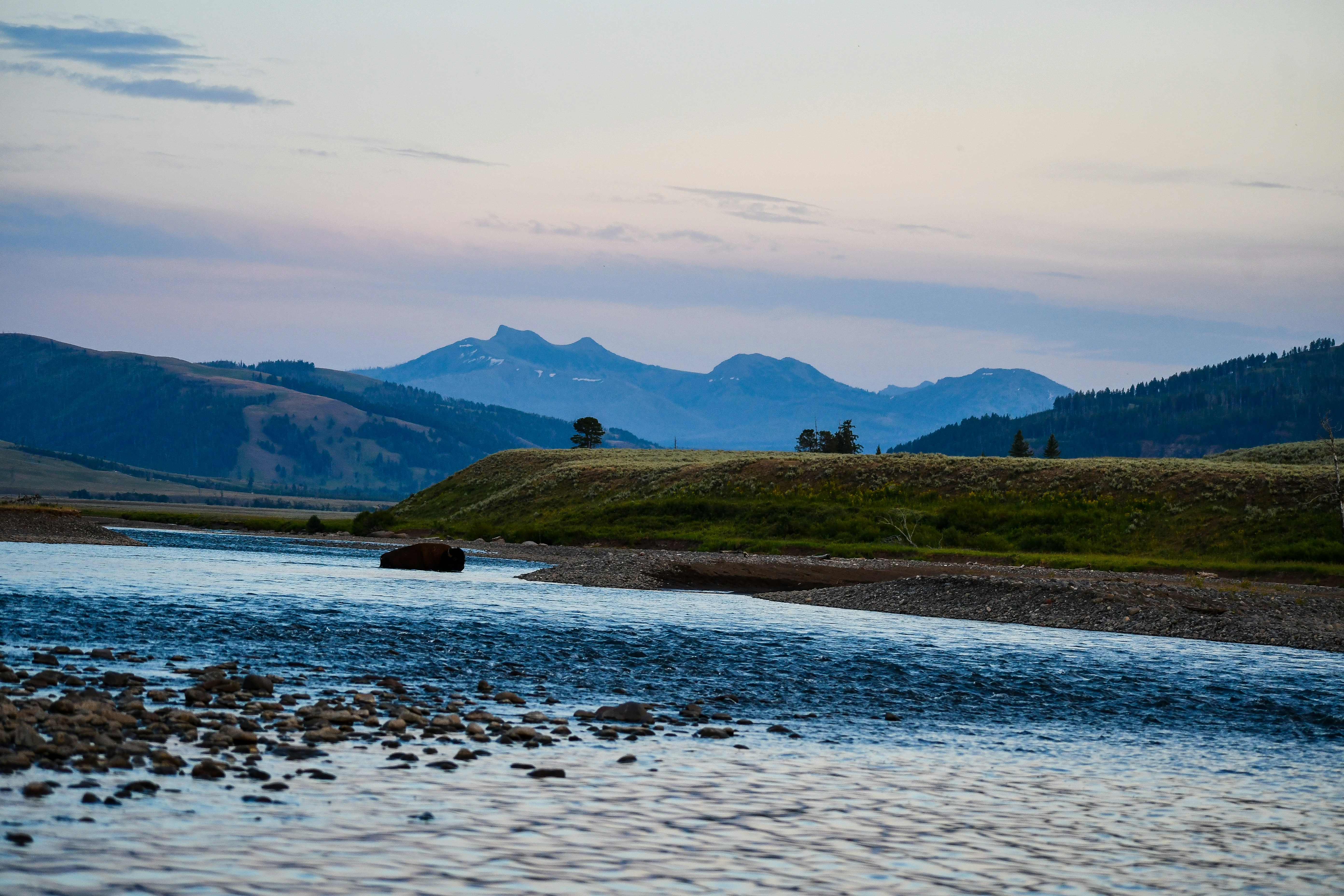 Photo by jackcharles