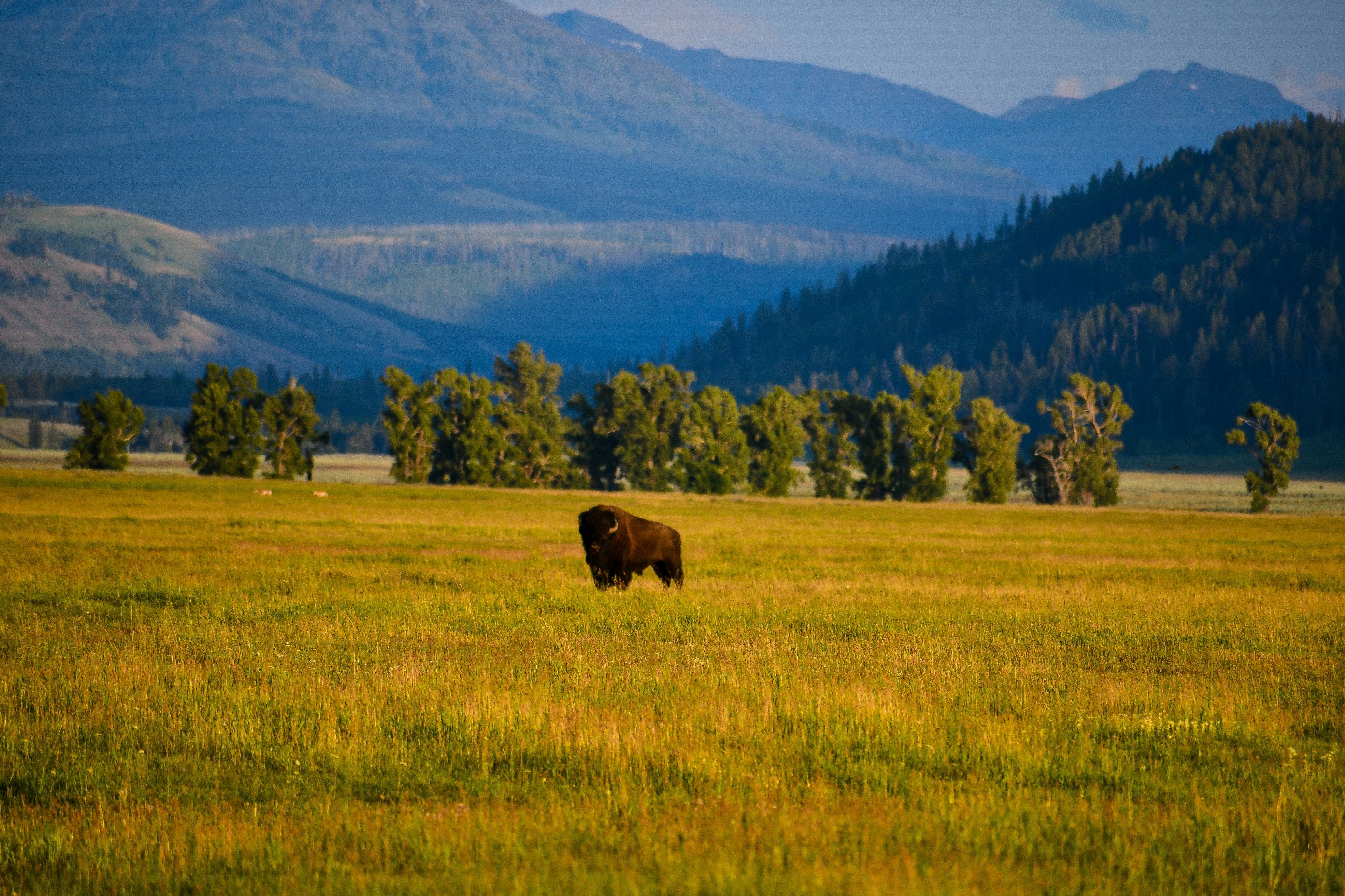 Photo by jackcharles