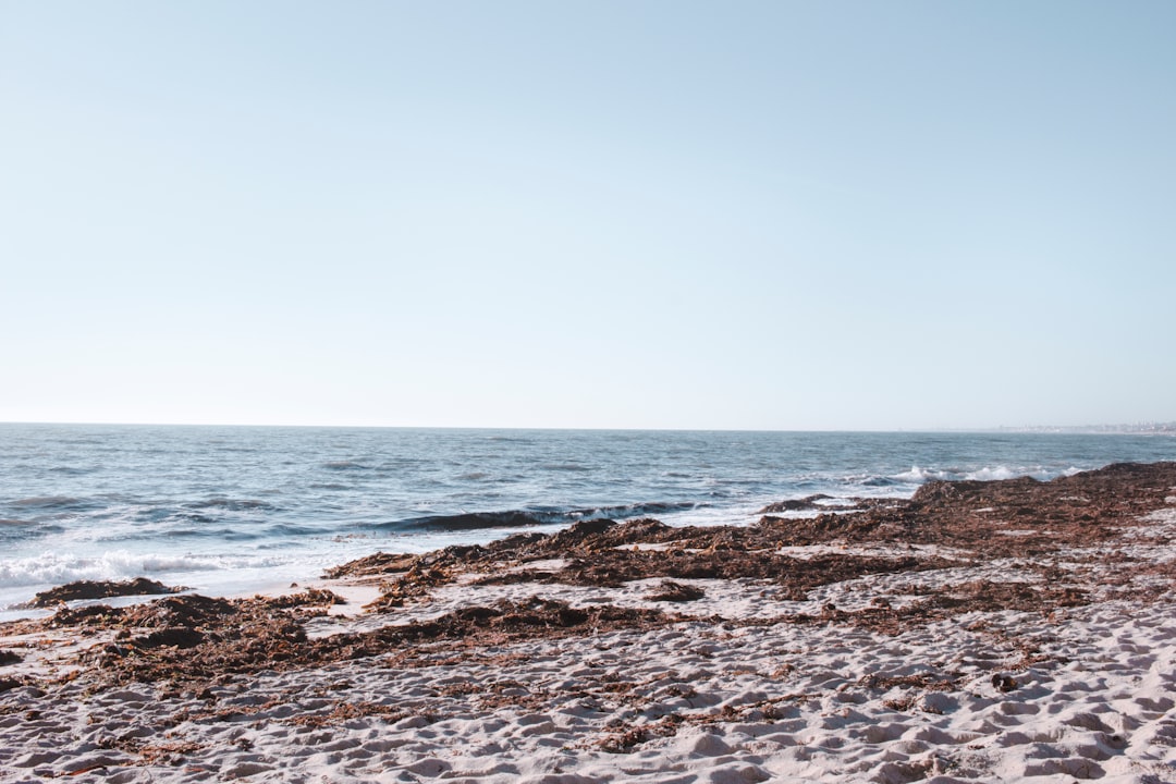 Beach photo spot Francelos Esmoriz