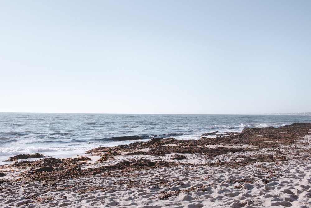 brown rocky shore under white sky during daytime