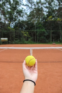 person holding yellow tennis ball