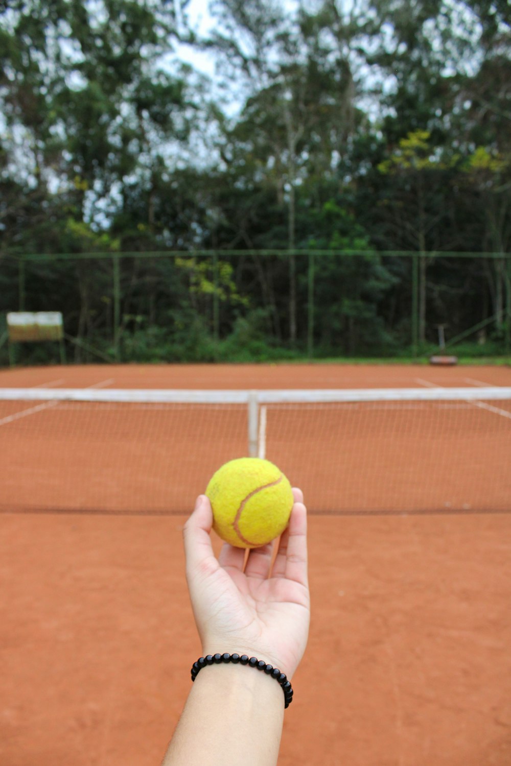 Persona que sostiene una pelota de tenis amarilla