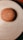 A sesame seed-covered burger bun placed in the center of a circular, light-colored wooden plate. The plate's concentric rings create an inviting visual pattern, contrasting with the warm, brown bun.