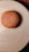 A sesame seed-covered burger bun placed in the center of a circular, light-colored wooden plate. The plate's concentric rings create an inviting visual pattern, contrasting with the warm, brown bun.