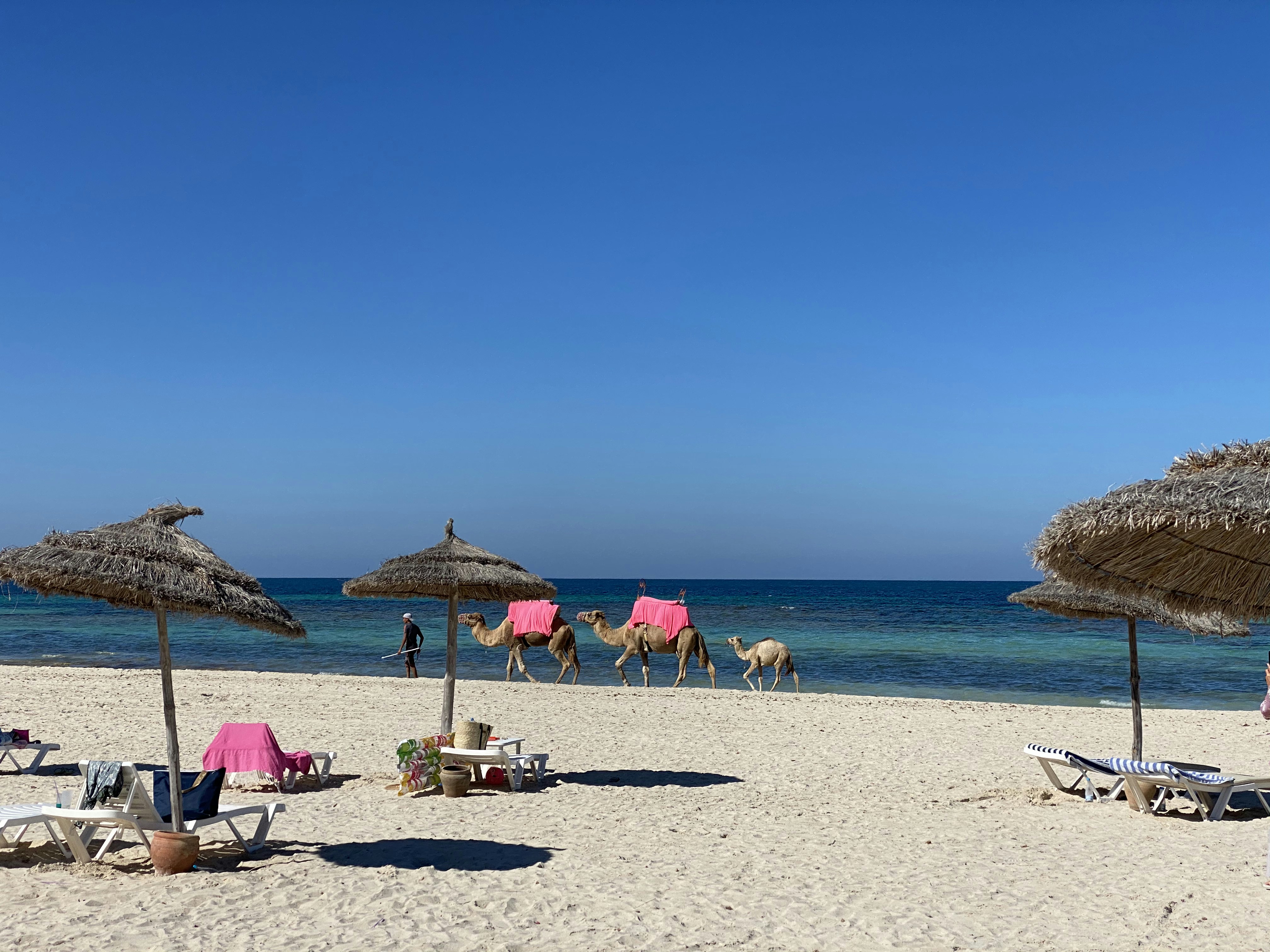 DJE destination photo