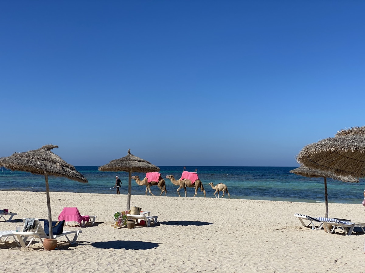Djerba, Tunisia