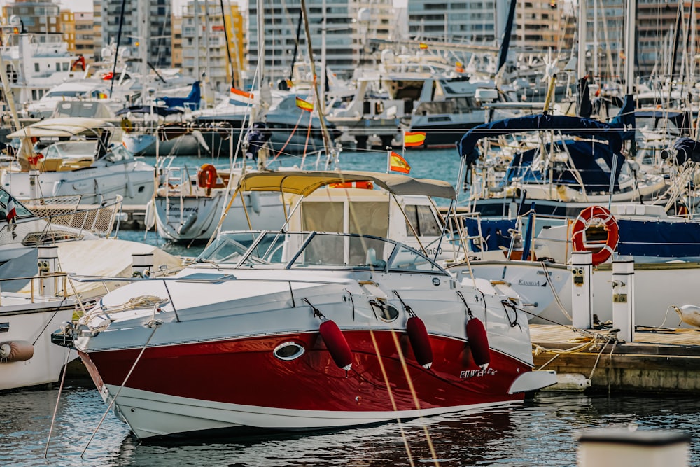 red and white boat on water during daytime