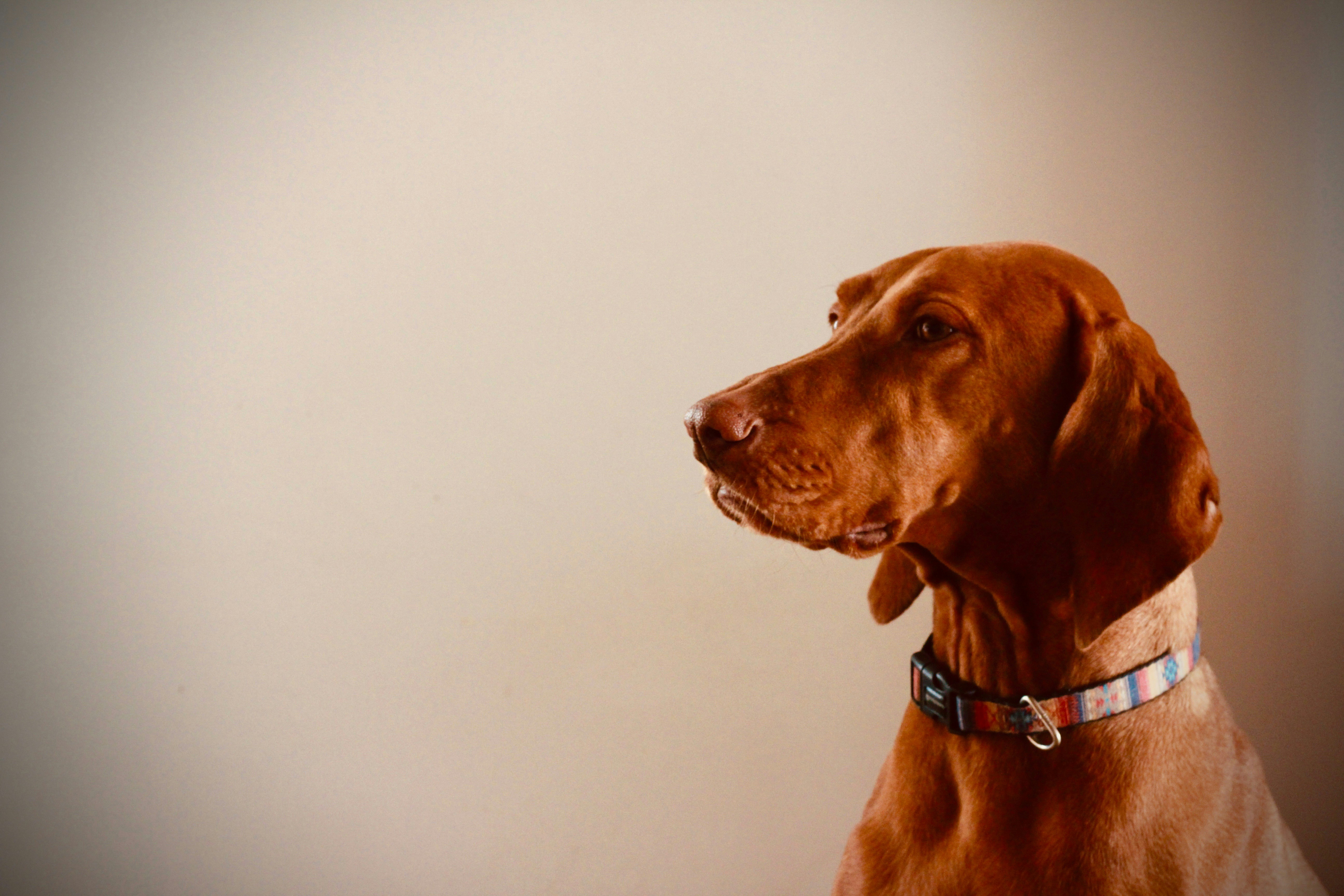 Photo by kaigabriel42