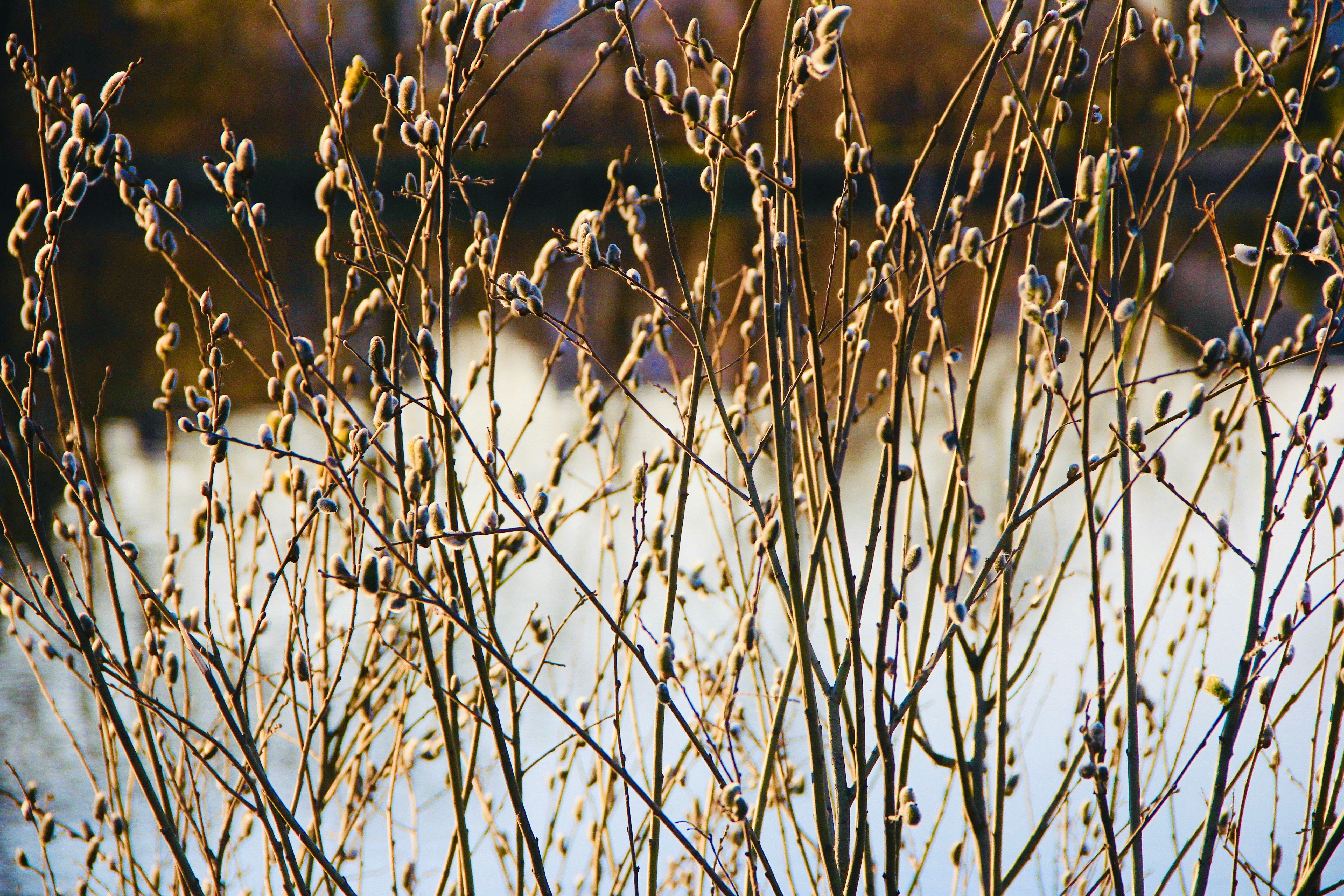 Photo by kaigabriel42