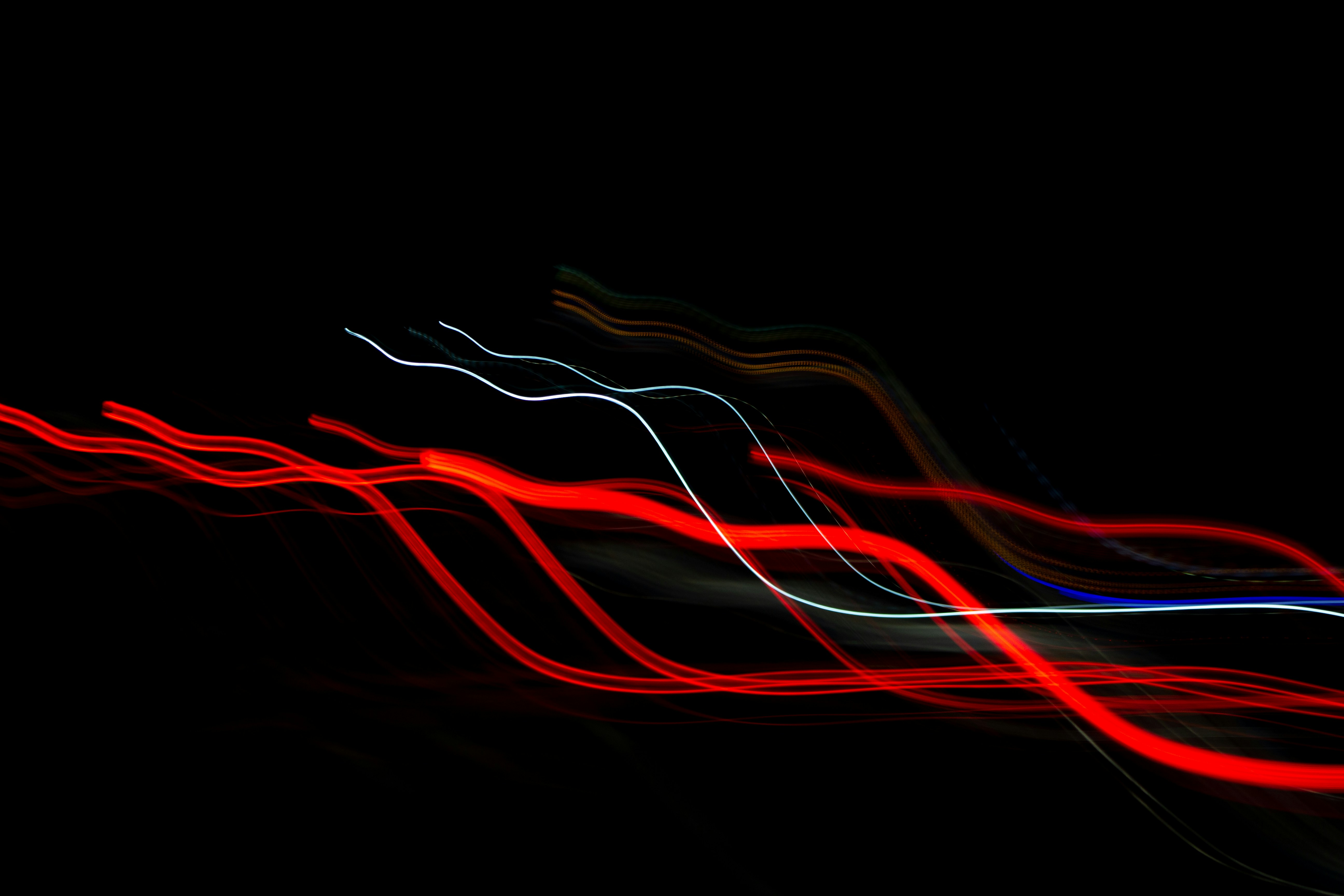 Photo by levi_midnight