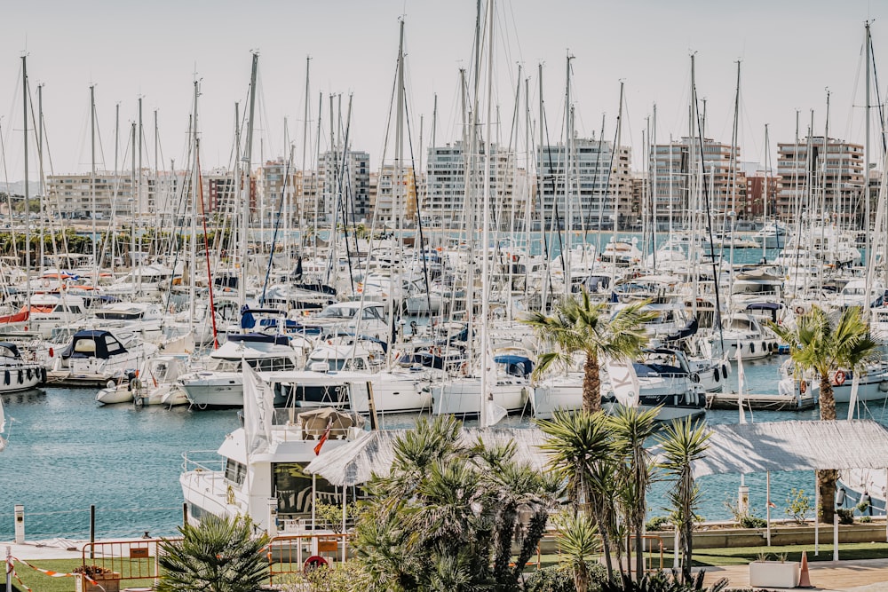 white boats on sea during daytime