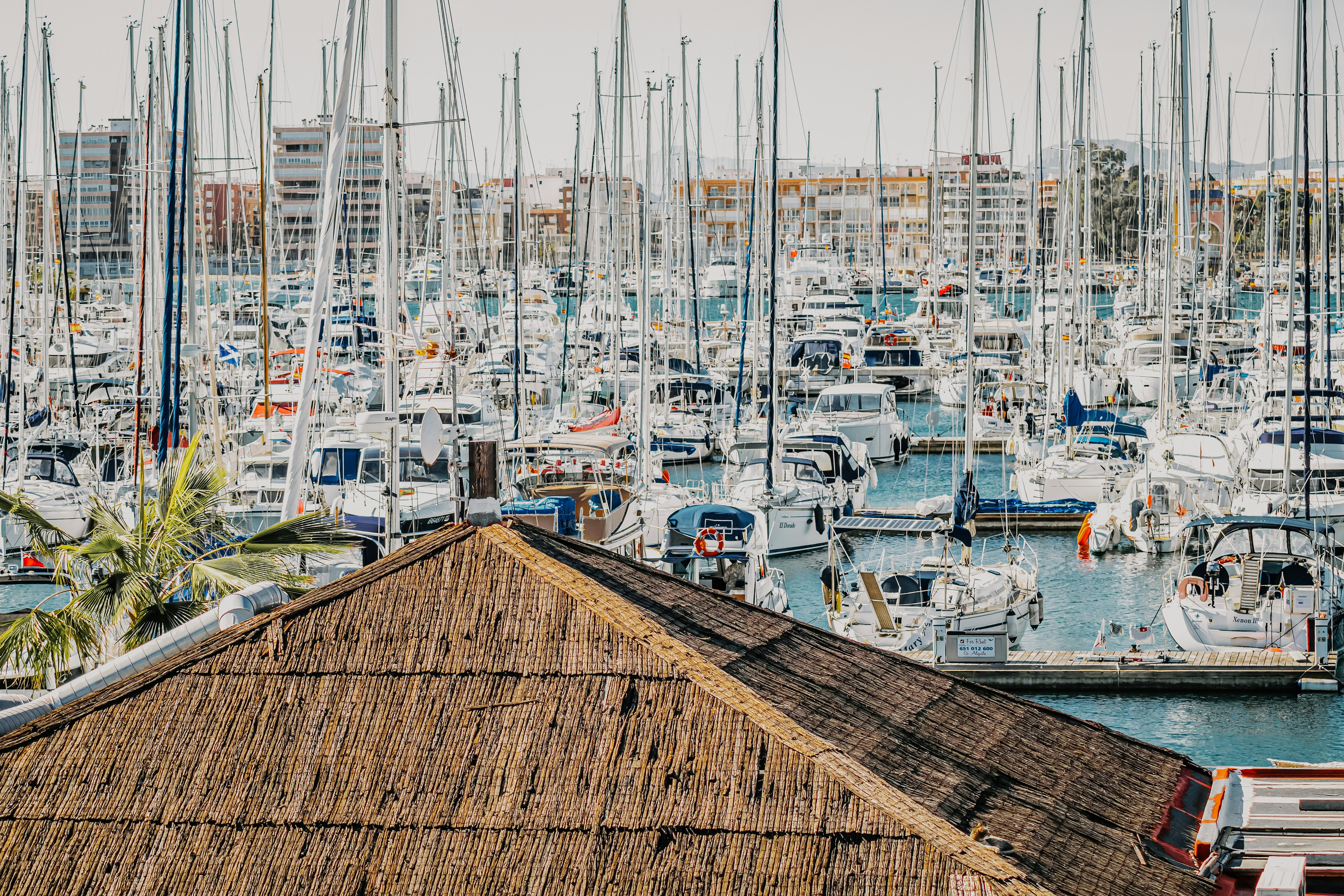 white and blue boats on dock during daytime