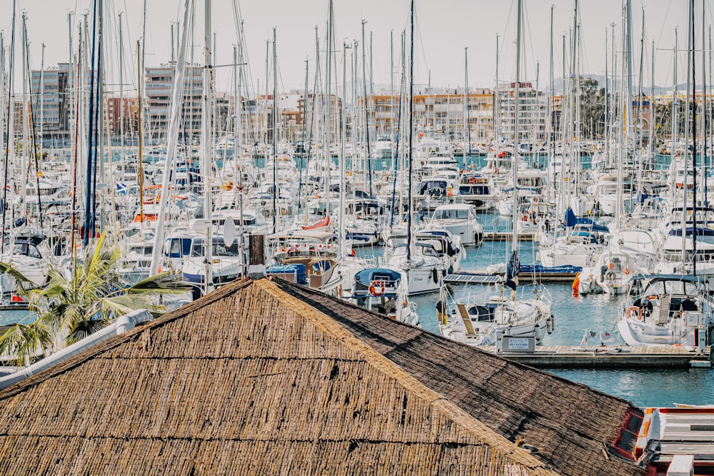 white and blue boats on dock during daytime