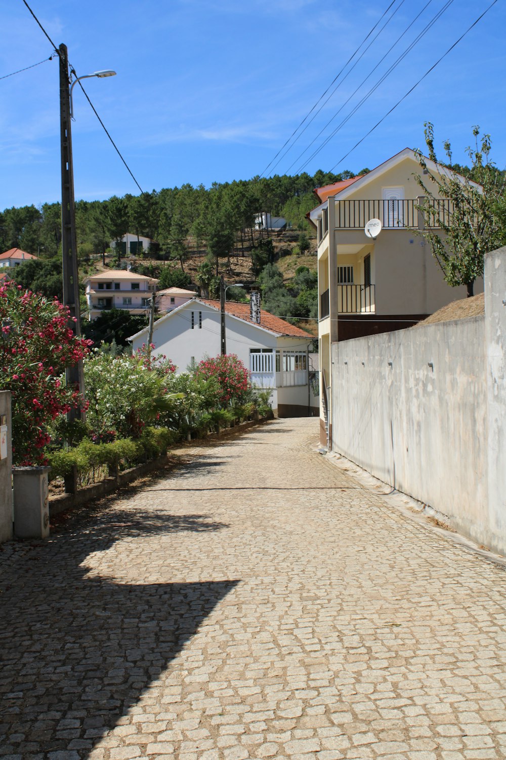 white concrete house near green plants during daytime