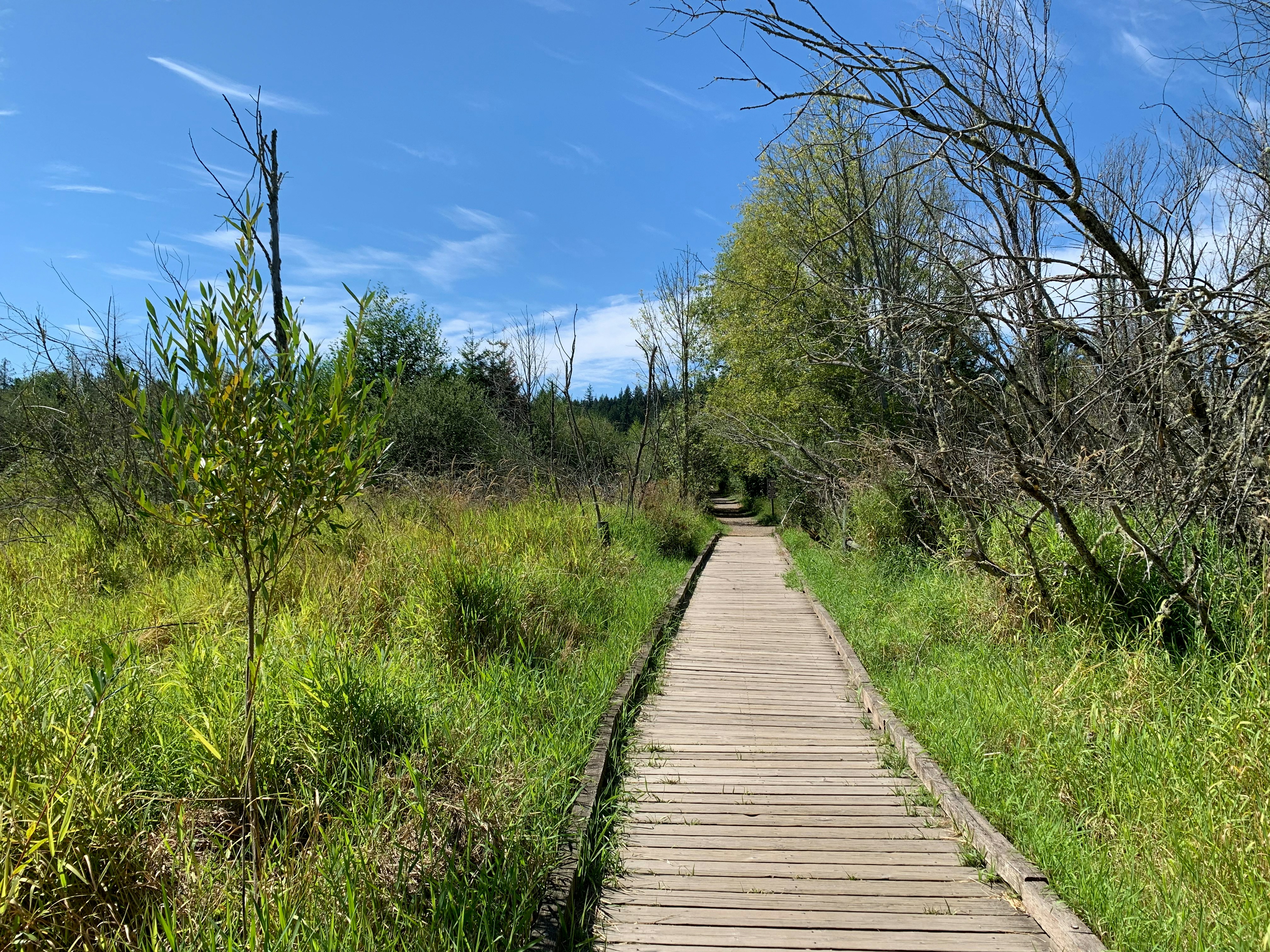 Photo by silverdalex