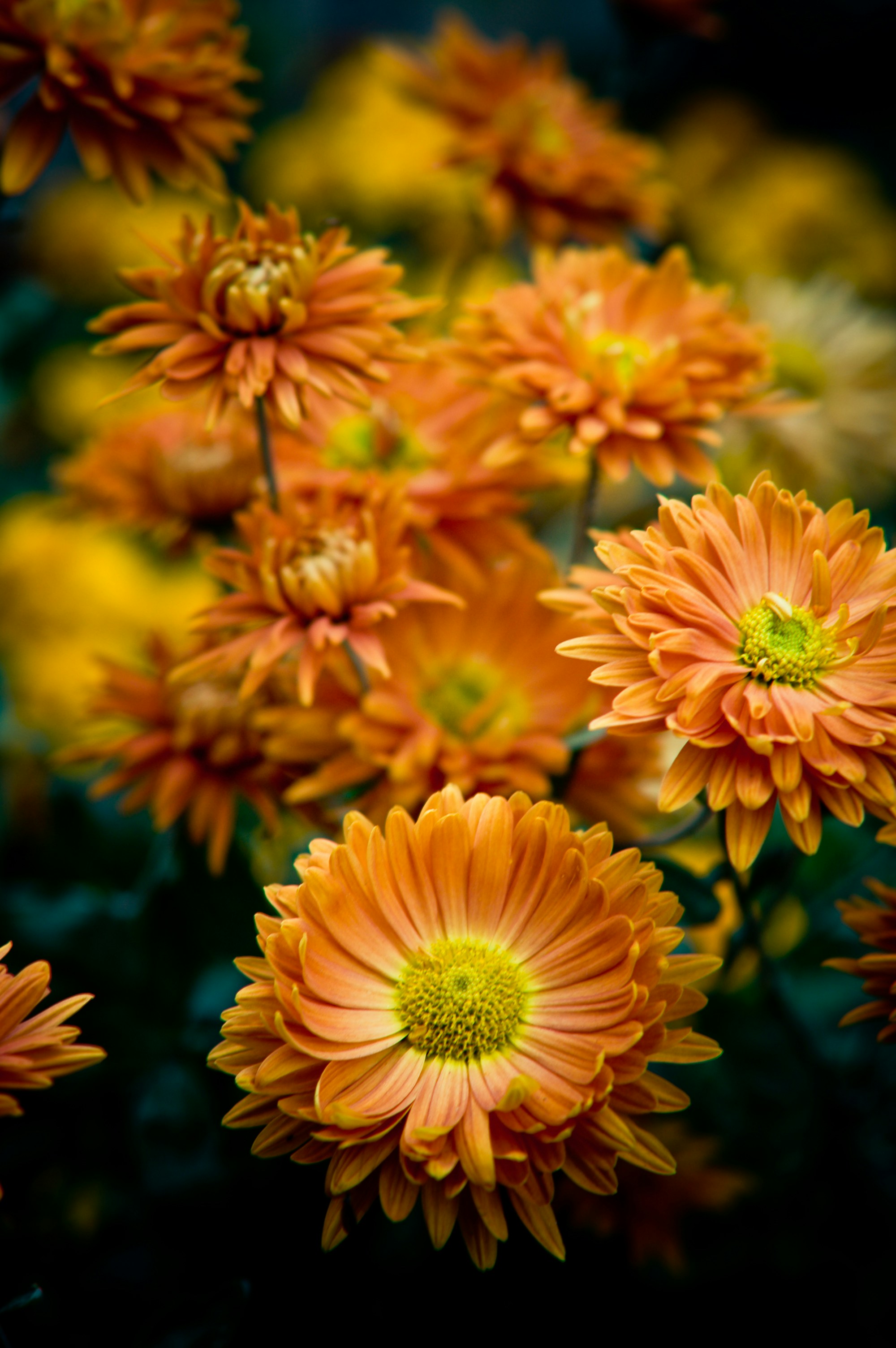 Photo by photofixation