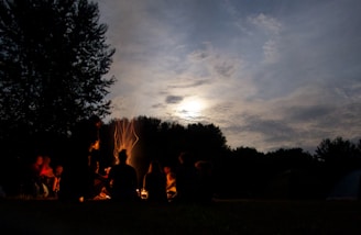 A group of adventurers gathered around a campfire at night.