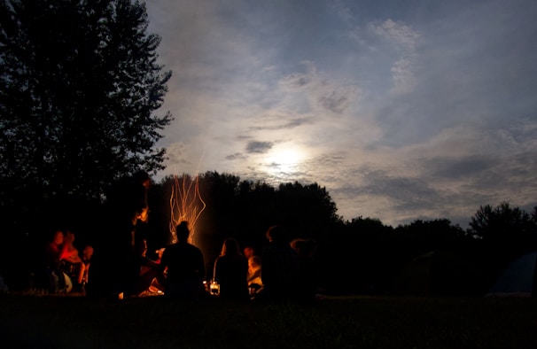 A group of adventurers gathered around a campfire at night.