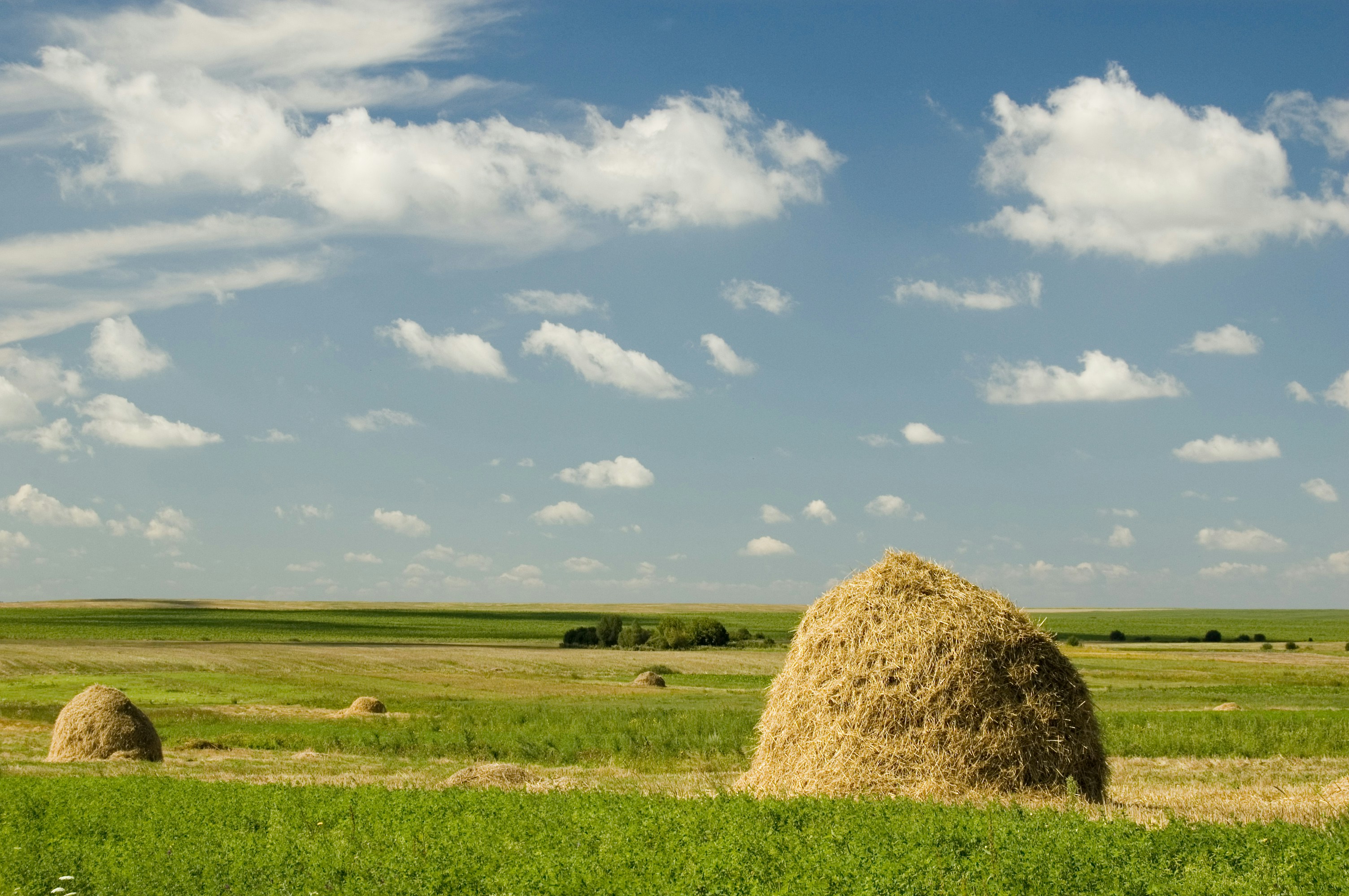 Photo by photofixation