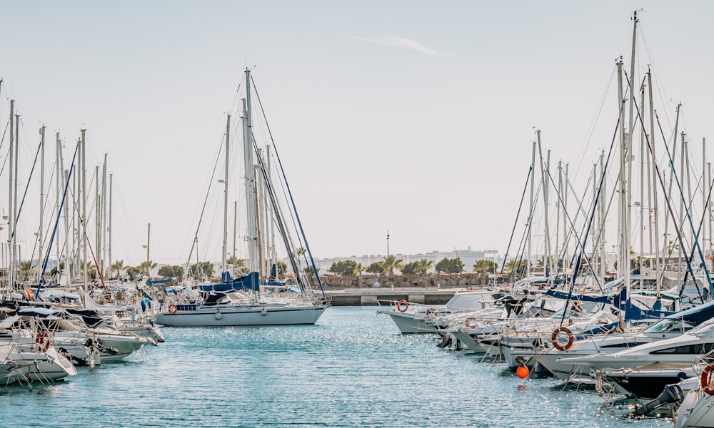 white and blue boats on sea during daytime