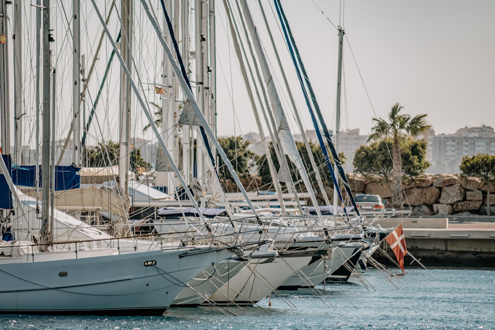 white sail boat on sea during daytime