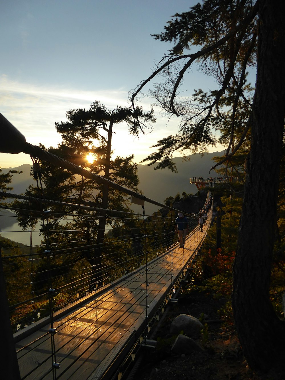 brown wooden bridge over river during daytime