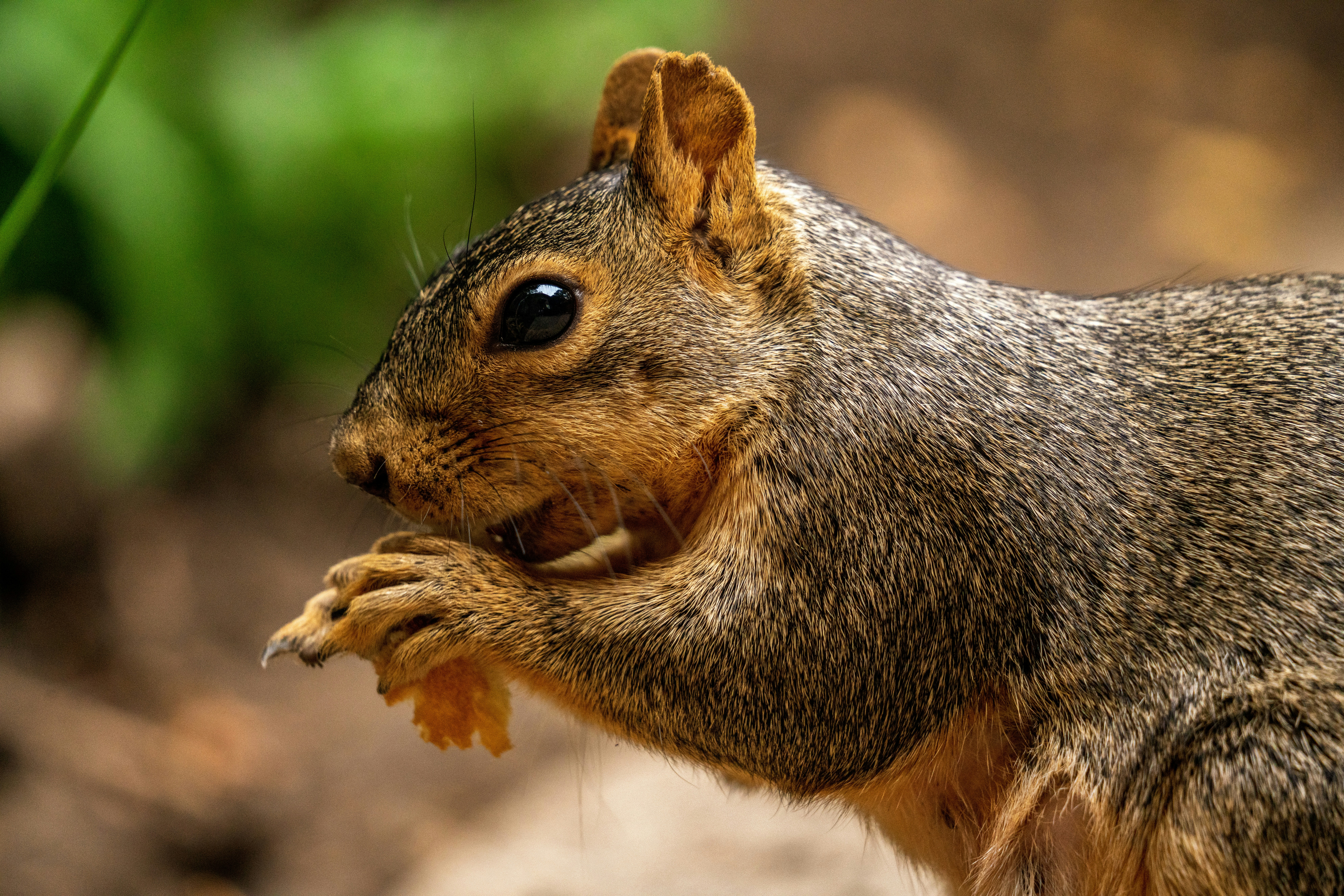 Photo by itworkonline