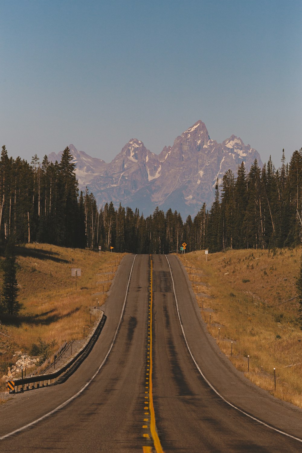 brown dirt road between green trees and brown grass field during daytime