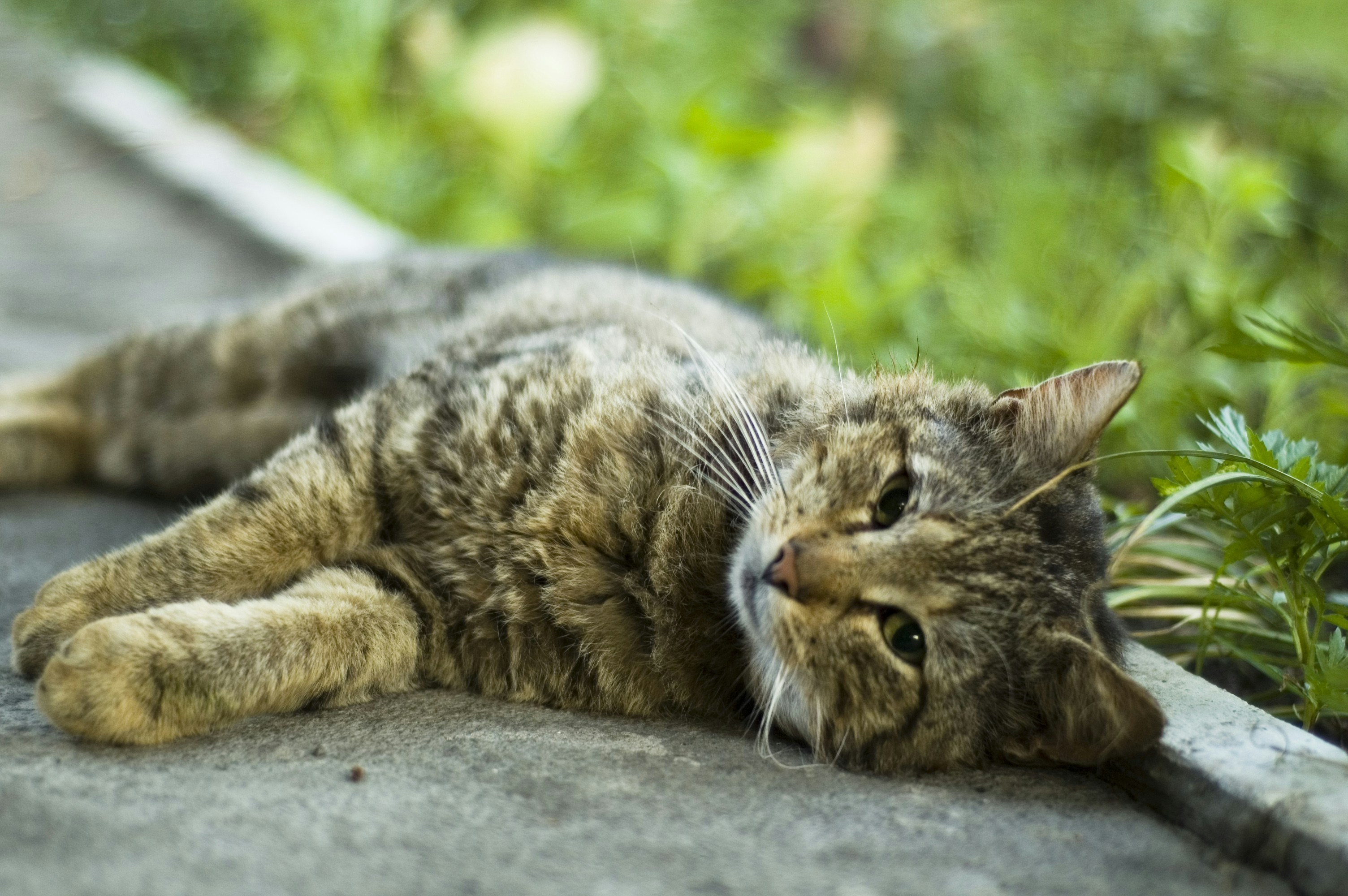 Photo by photofixation