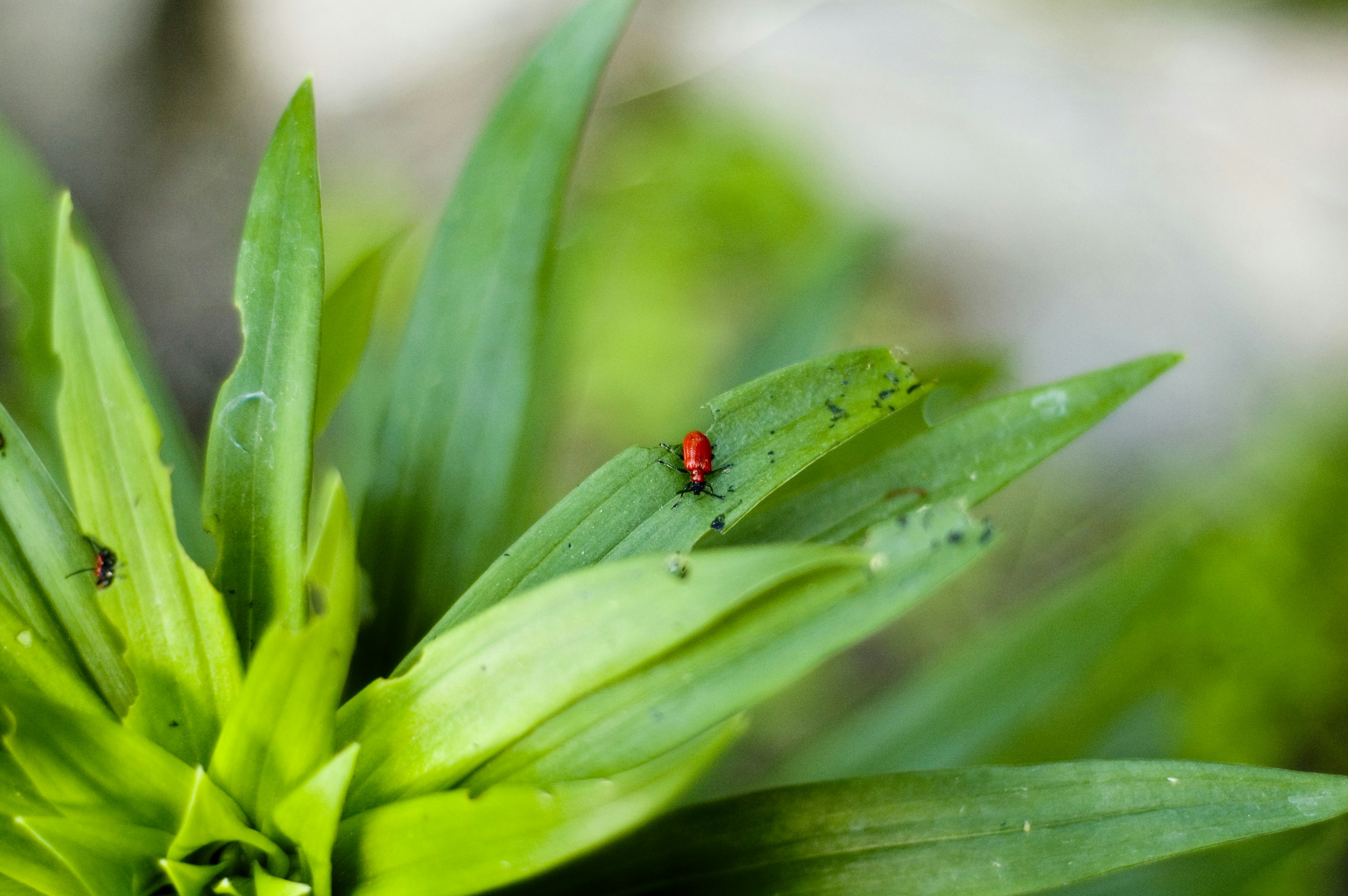 Photo by photofixation