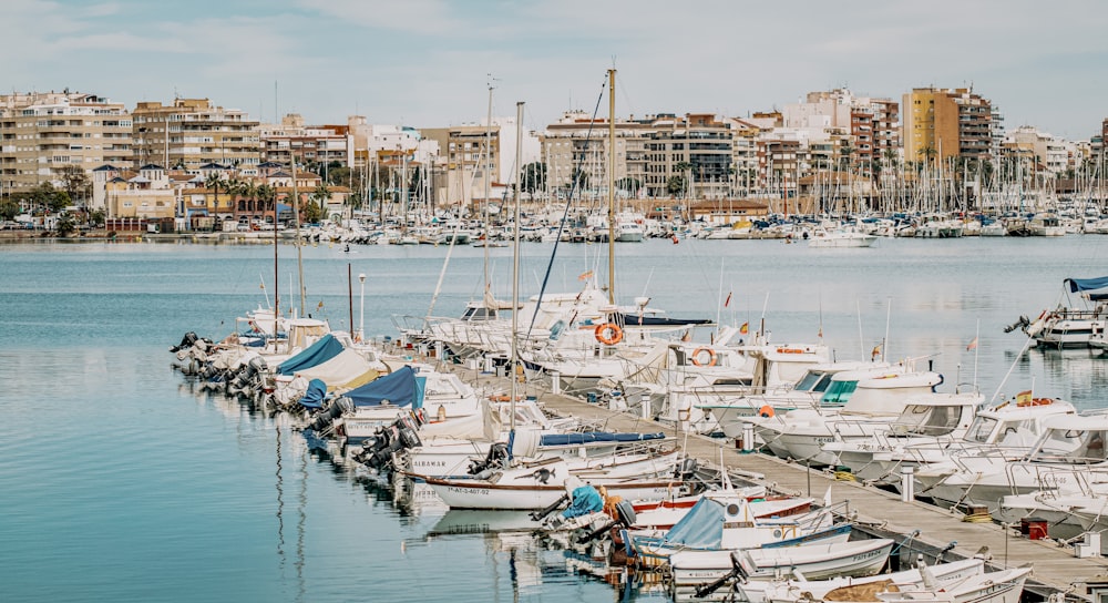 white and blue boats on dock during daytime