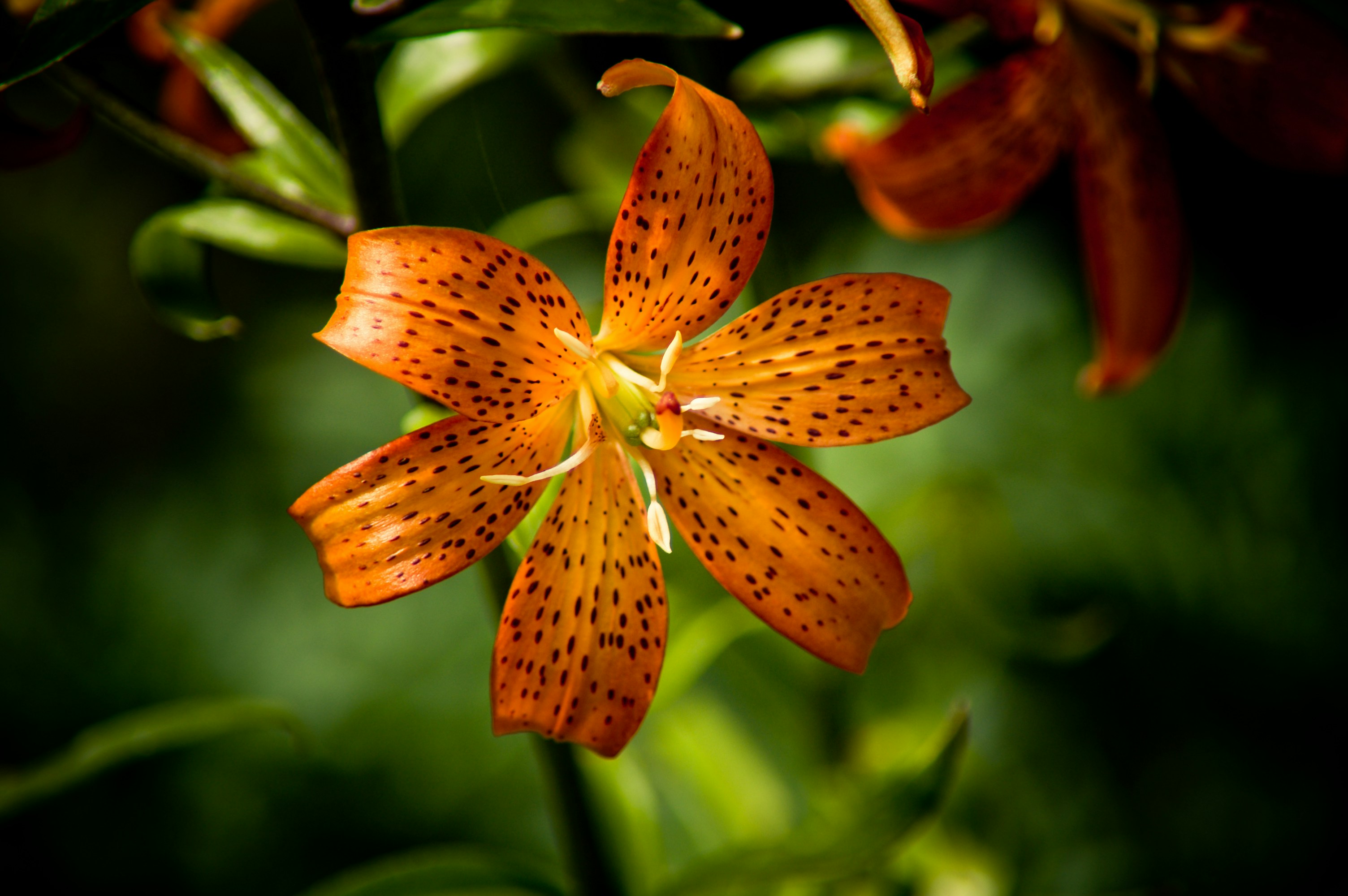 Photo by photofixation