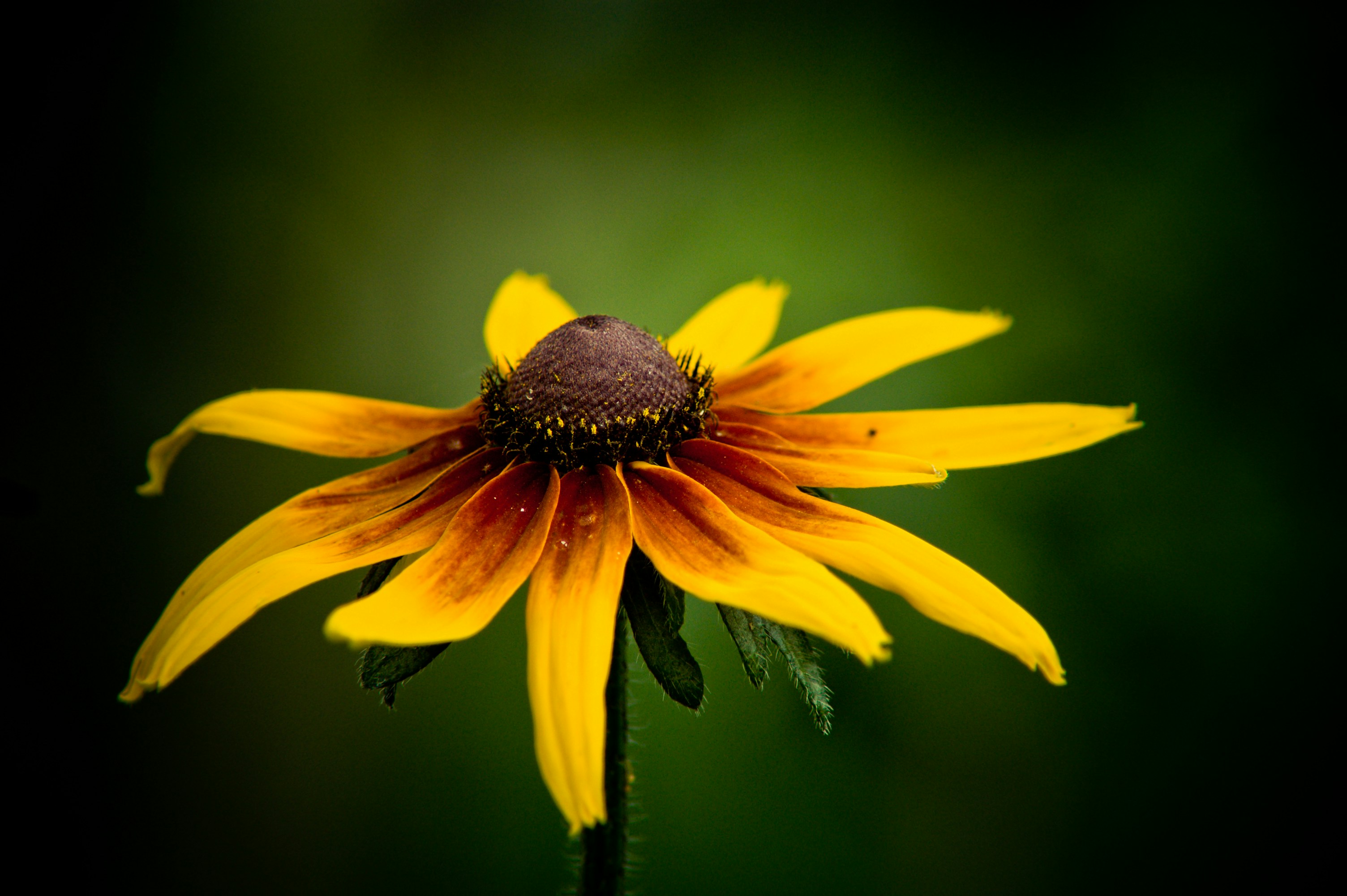 Photo by photofixation