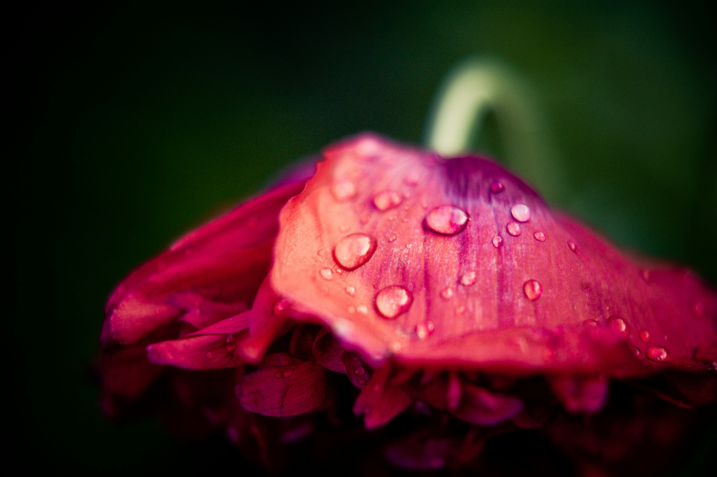 Photo by photofixation