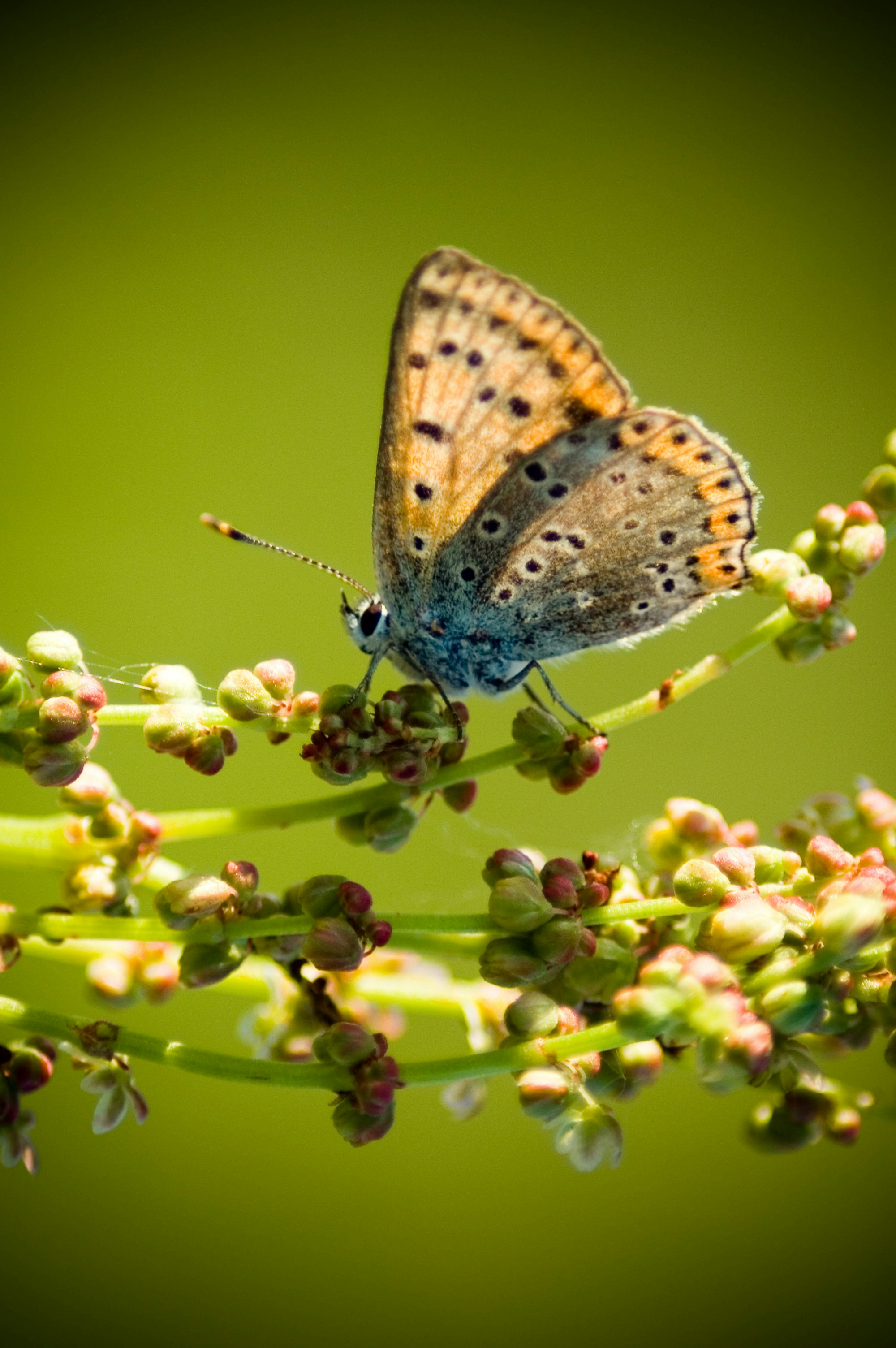 Photo by photofixation