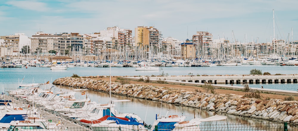 white and blue boats on sea dock during daytime