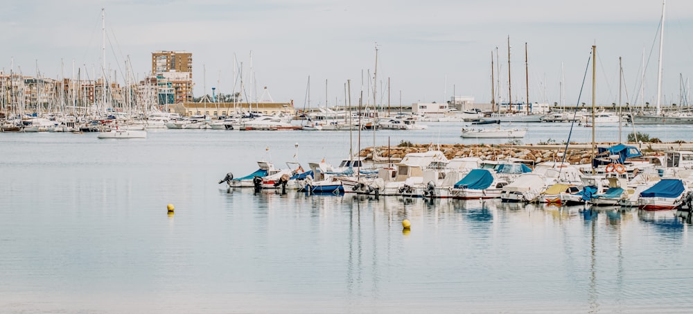 boats on sea during daytime