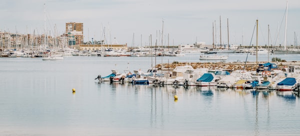 Торревьеха