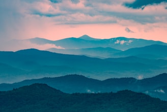 green trees and mountains during daytime