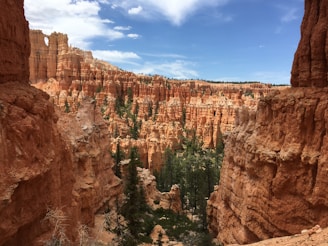 brown rocky mountain under blue sky during daytime