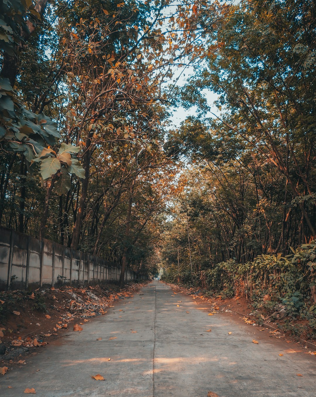 Natural landscape photo spot Retalhuleu Guatemala