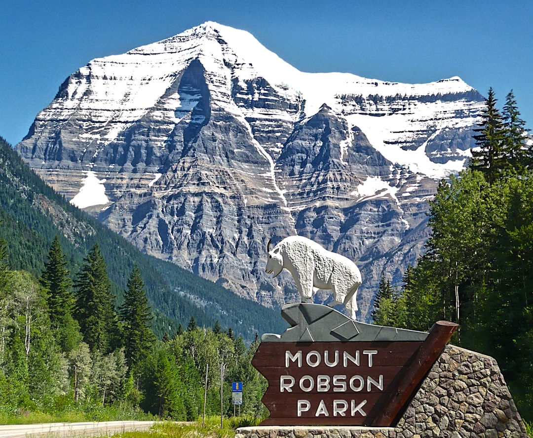 Nature reserve photo spot Mount Robson Athabasca Falls