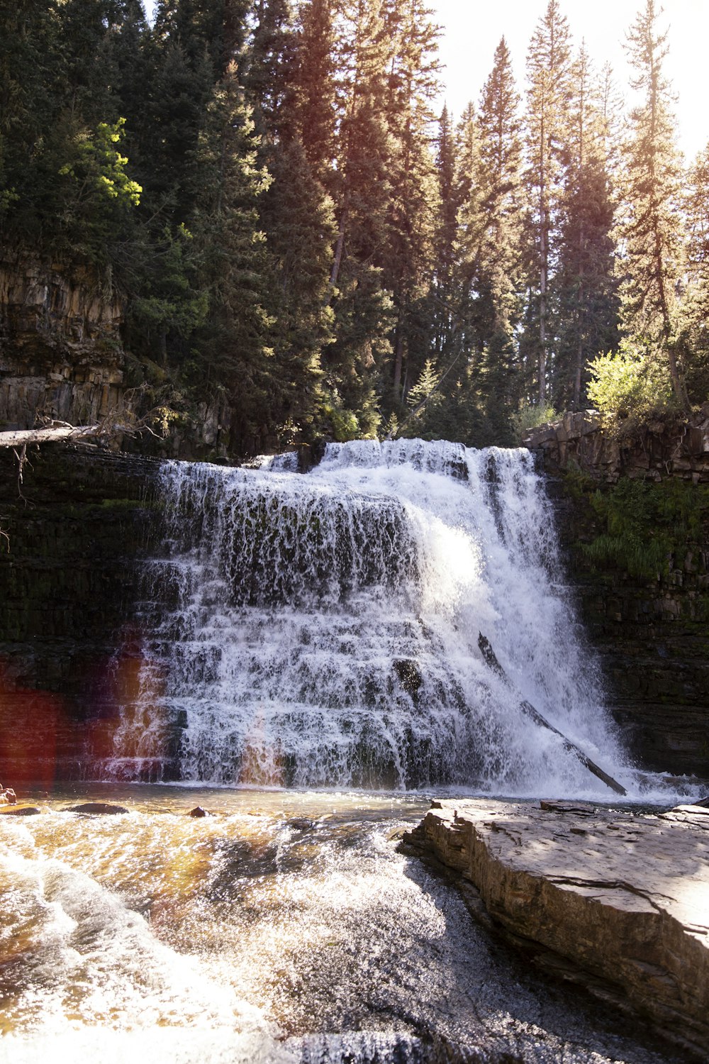 waterfalls in forest during daytime