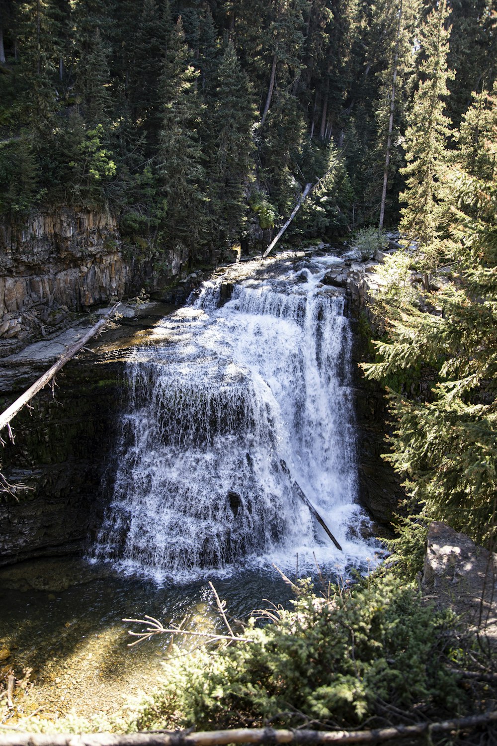 waterfalls in forest during daytime