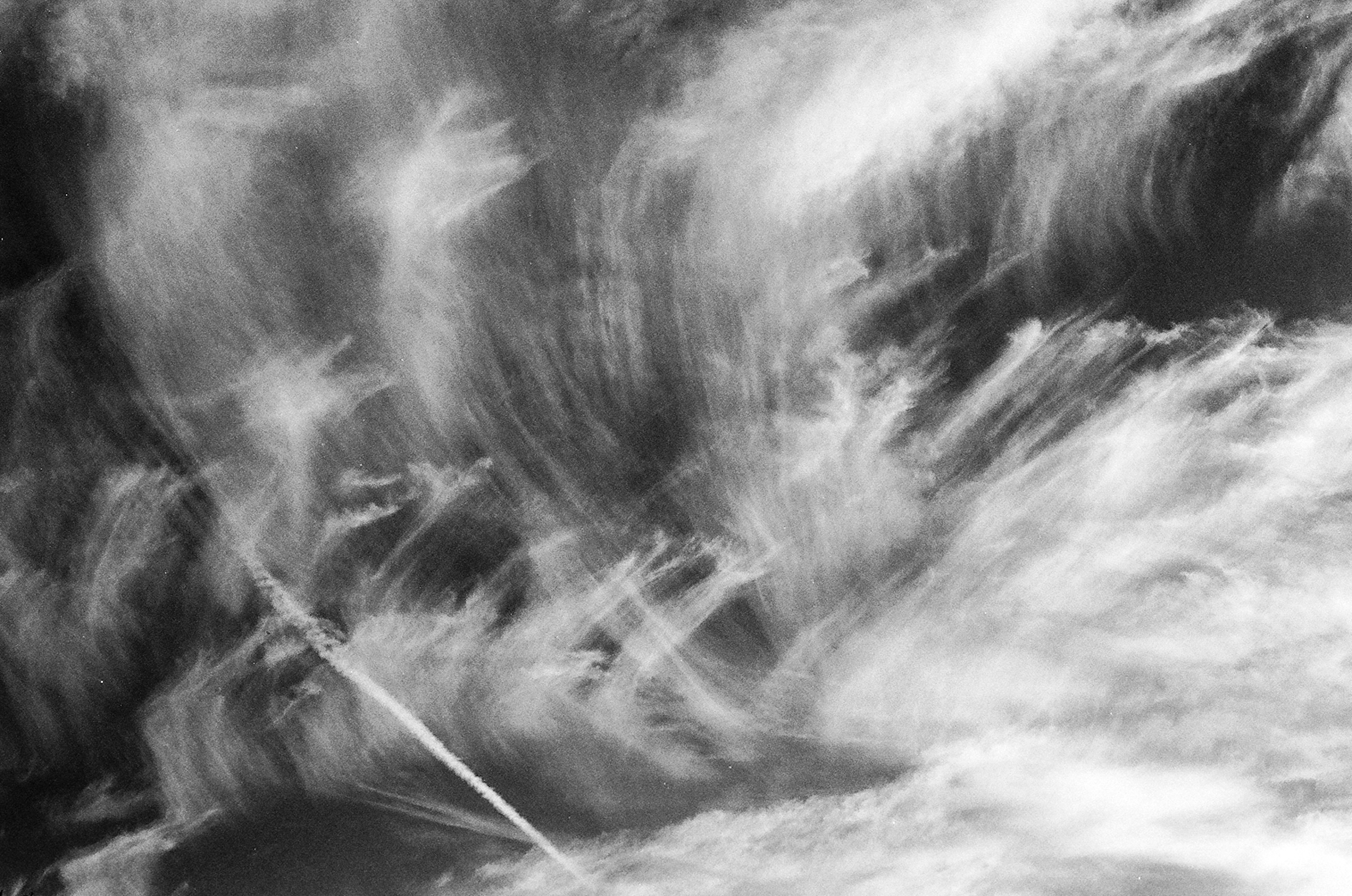 Photo by carrier_lost