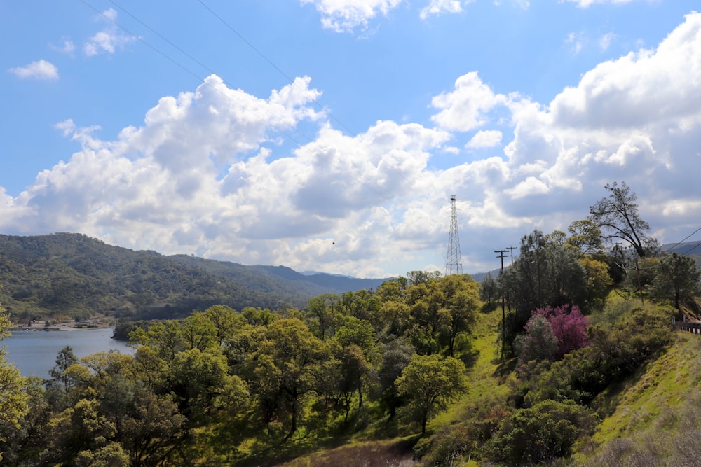 green trees under white clouds and blue sky during daytime