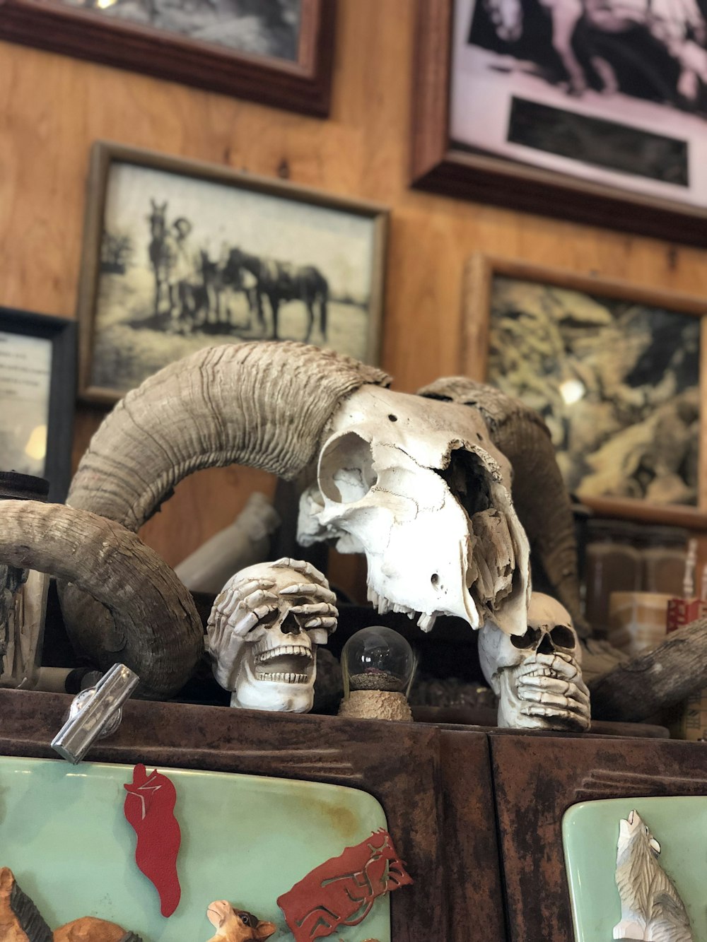 white skull on brown wooden table