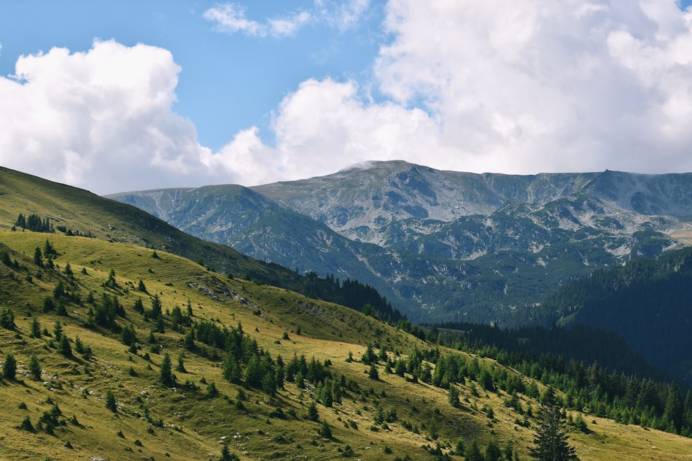 green trees on mountain under white clouds during daytime